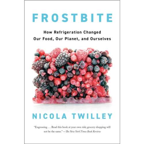 Prentice Hall Press Frostbite (häftad, eng)