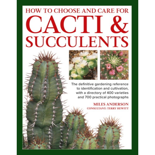 Anness publishing Cacti & Succulents, How to Choose and Care for (inbunden, eng)