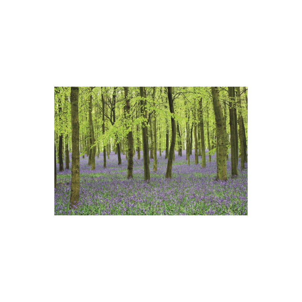 Produktbild för Memo Block - Bluebells (inbunden, eng)