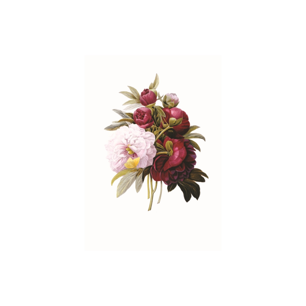 Produktbild för Memo Block: Redoute Peony (inbunden, eng)