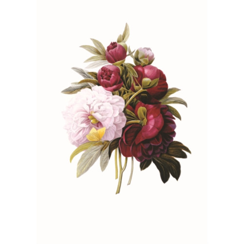 Anness publishing Memo Block: Redoute Peony (inbunden, eng)