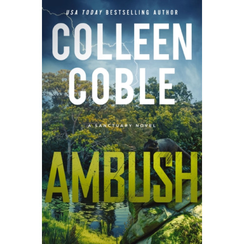 Thomas nelson publishers Ambush (häftad, eng)