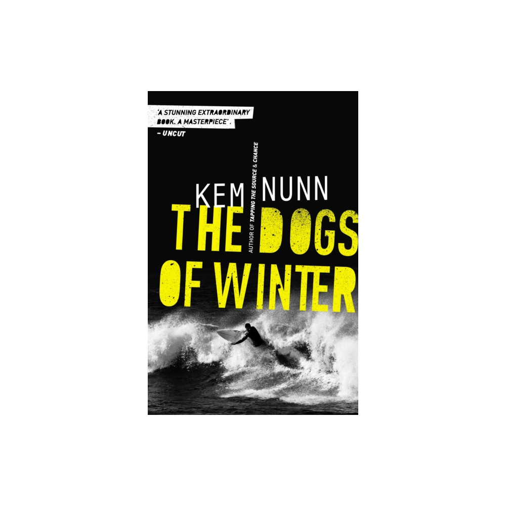 Produktbild för The Dogs Of Winter (häftad, eng)