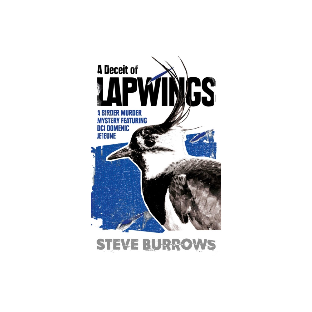 Produktbild för A Deceit of Lapwings (häftad, eng)