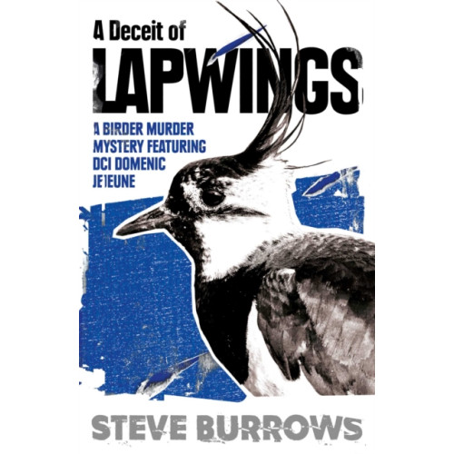 Oneworld Publications A Deceit of Lapwings (häftad, eng)