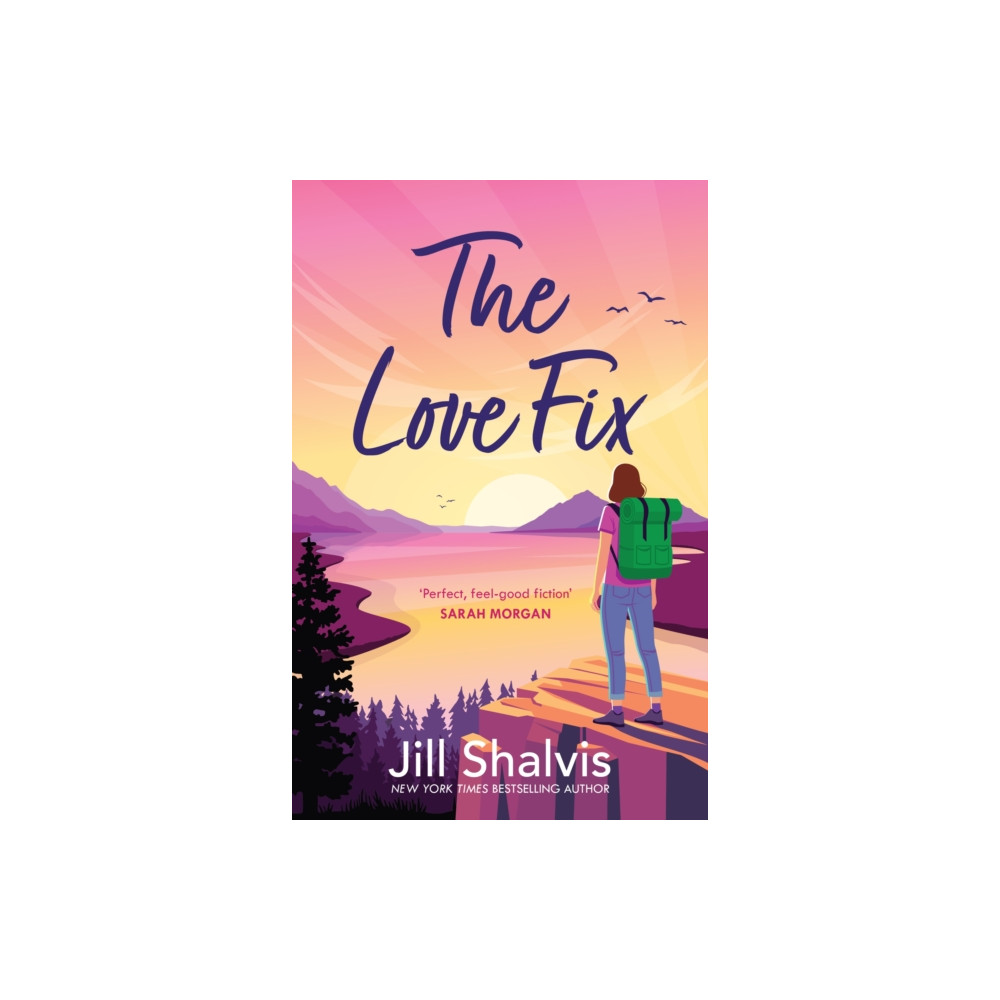 Produktbild för The Love Fix (häftad, eng)