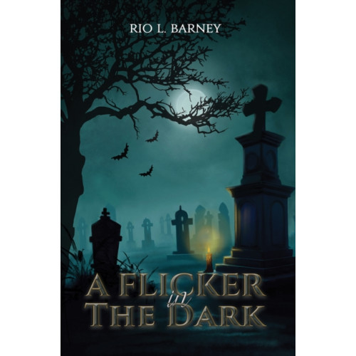 Austin Macauley Publishers A Flicker in the Dark (inbunden, eng)