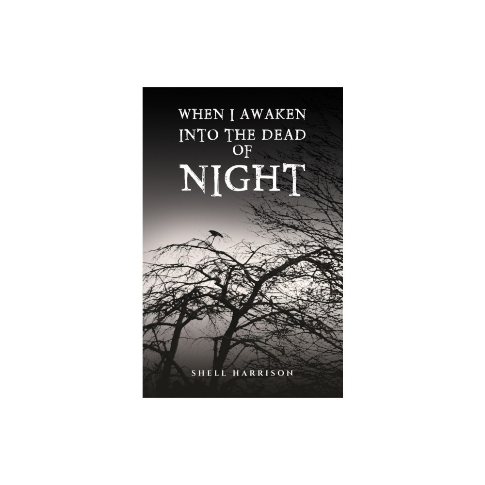 Produktbild för When I Awaken Into The Dead of Night (häftad, eng)