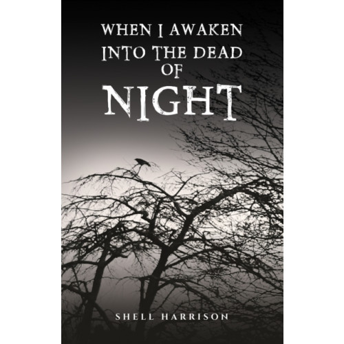 Austin Macauley Publishers When I Awaken Into The Dead of Night (häftad, eng)