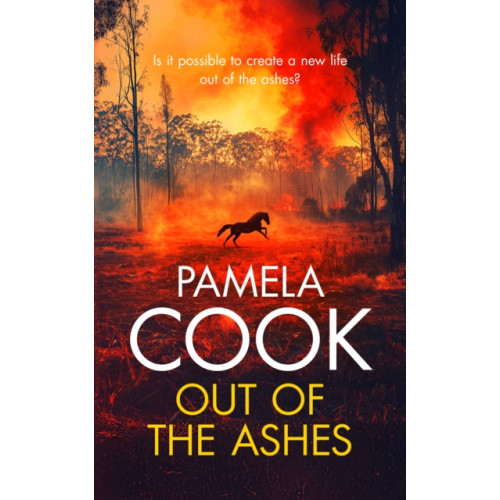 Vinci Books Out of the Ashes (häftad, eng)