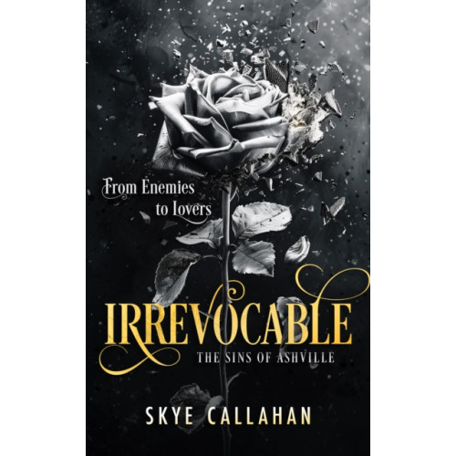 Vinci Books Irrevocable (häftad, eng)