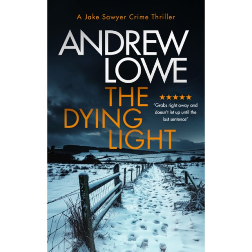 Vinci Books The Dying Light (häftad, eng)