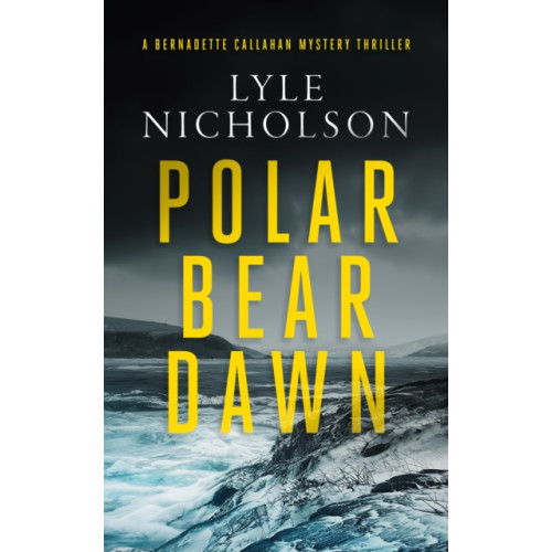 Vinci Books Polar Bear Dawn (häftad, eng)