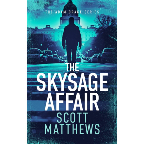 Vinci Books The Skysage Affair (häftad, eng)