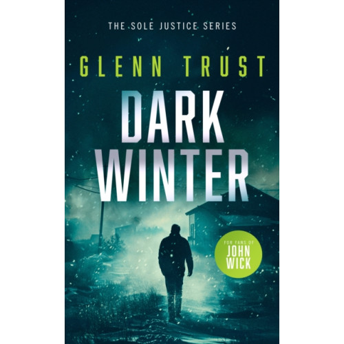 Vinci Books Dark Winter (häftad, eng)