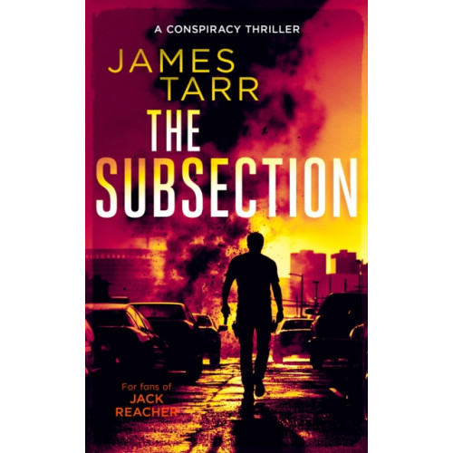Vinci Books The Subsection (häftad, eng)