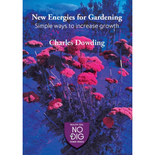 No Dig Garden New Energies for Gardening (häftad, eng)