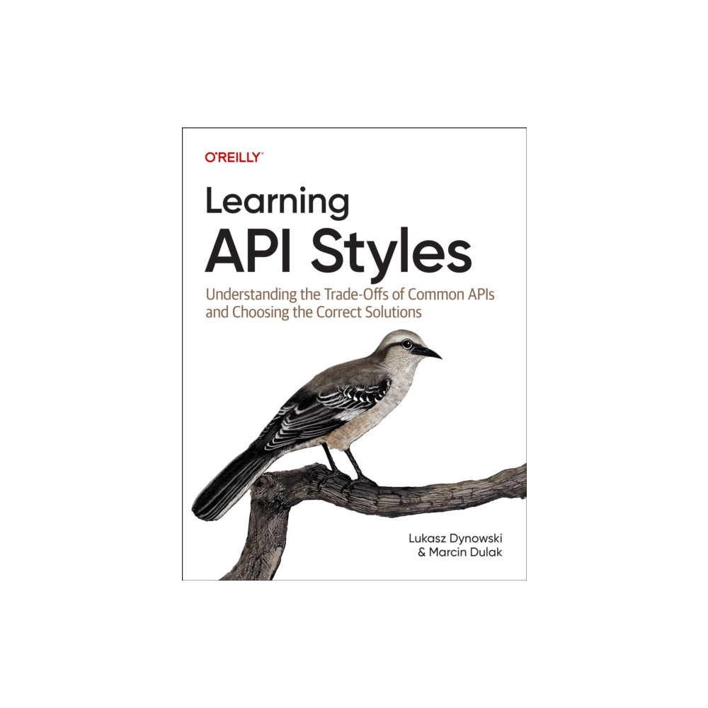 Produktbild för Learning API Styles (häftad, eng)