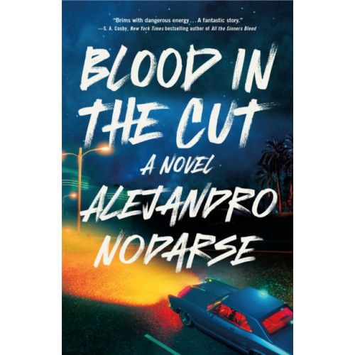 Flatiron Books Blood in the Cut (häftad, eng)