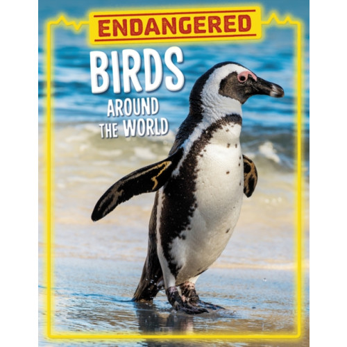 Capstone Global Library Ltd Endangered Birds Around the World (inbunden, eng)