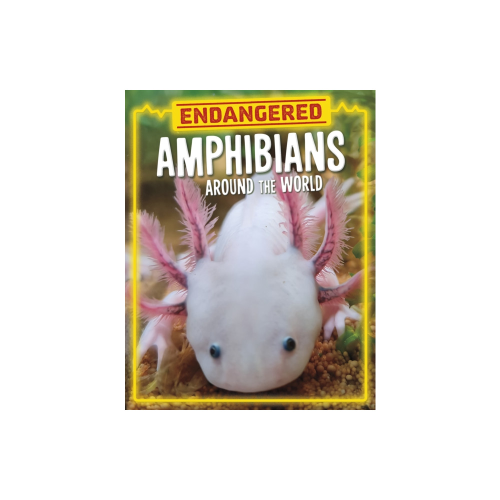 Produktbild för Endangered Amphibians Around the World (inbunden, eng)
