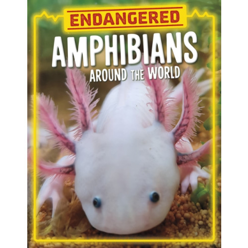 Capstone Global Library Ltd Endangered Amphibians Around the World (inbunden, eng)