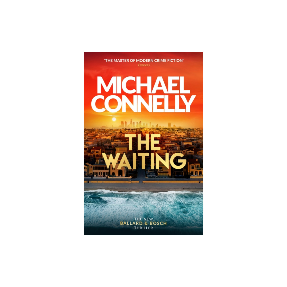 Produktbild för The Waiting (häftad, eng)