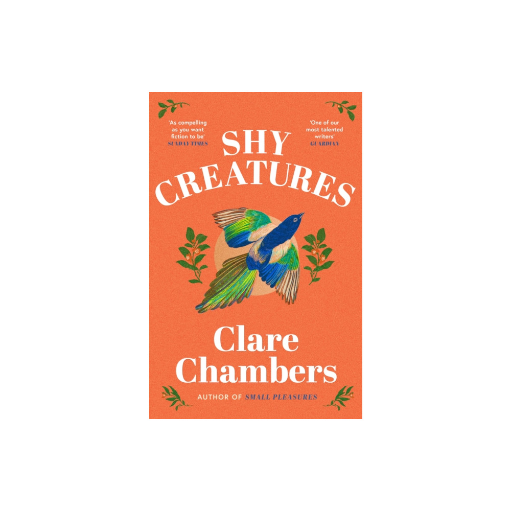 Produktbild för Shy Creatures (häftad, eng)