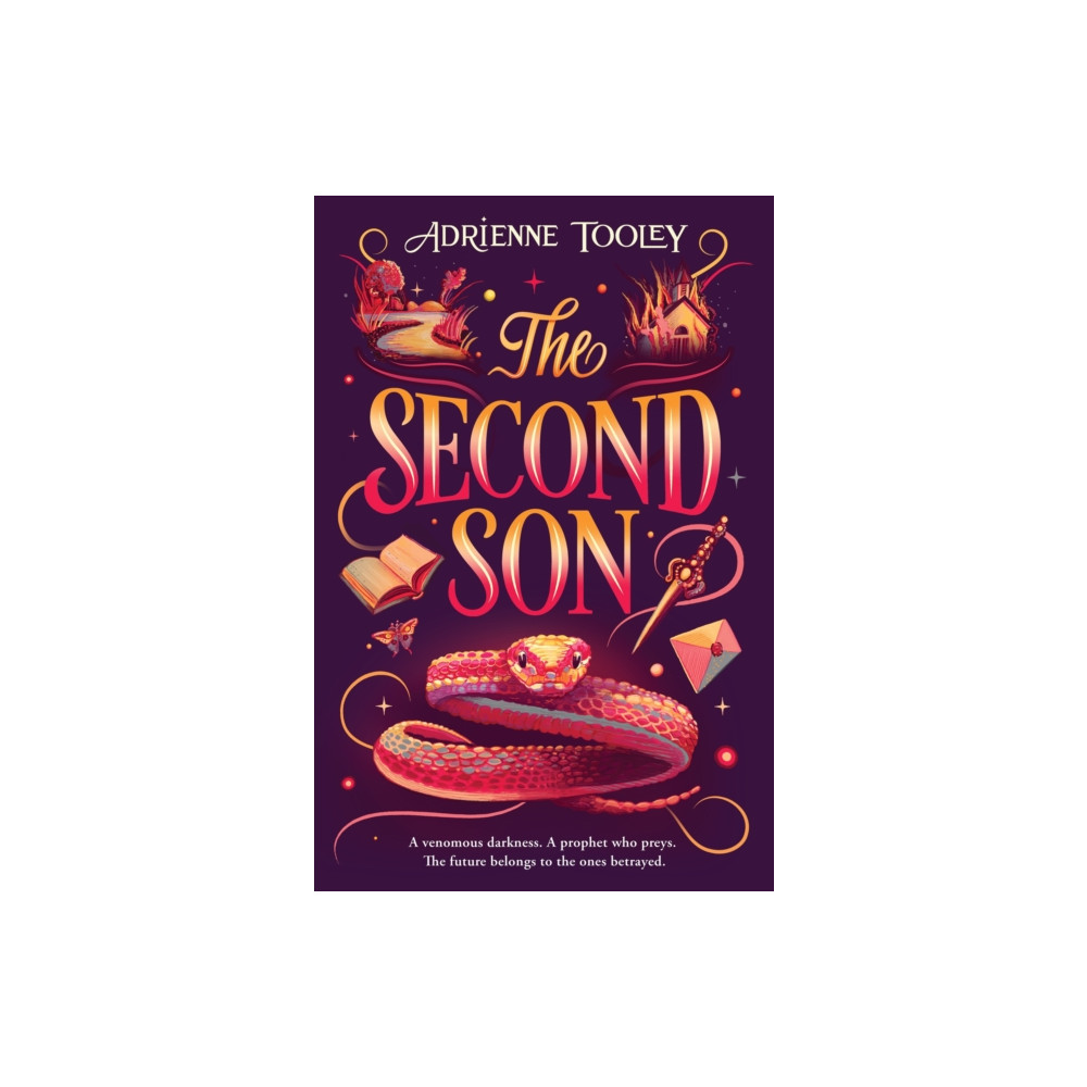 Produktbild för The Second Son (häftad, eng)