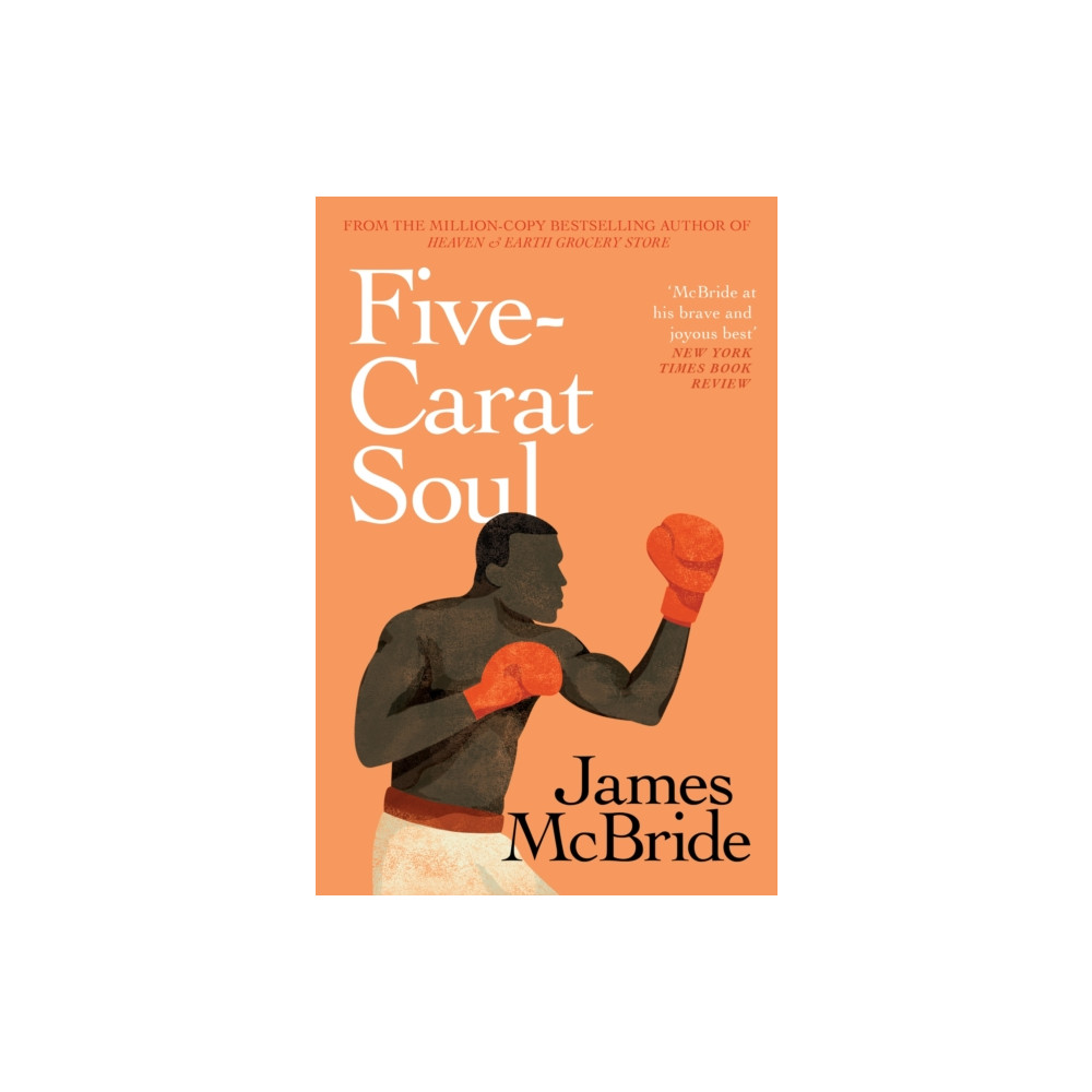 Produktbild för Five-Carat Soul (häftad, eng)
