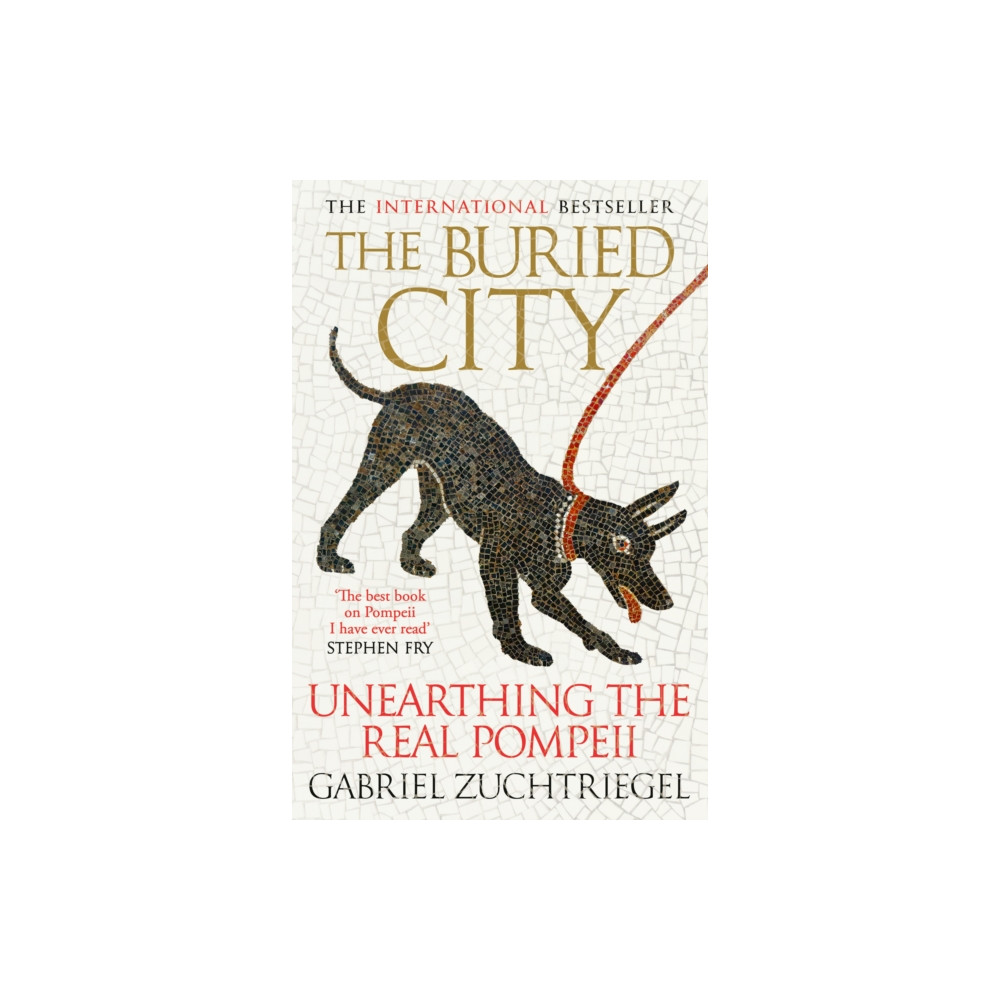 Produktbild för The Buried City (inbunden, eng)