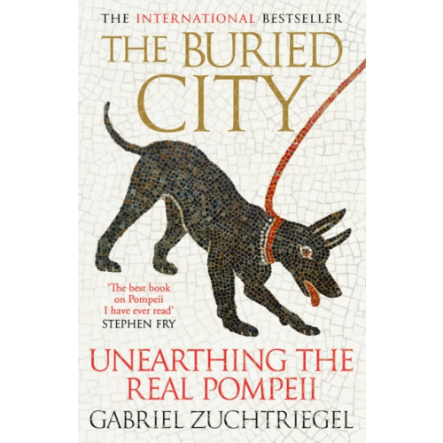 Hodder & Stoughton The Buried City (inbunden, eng)