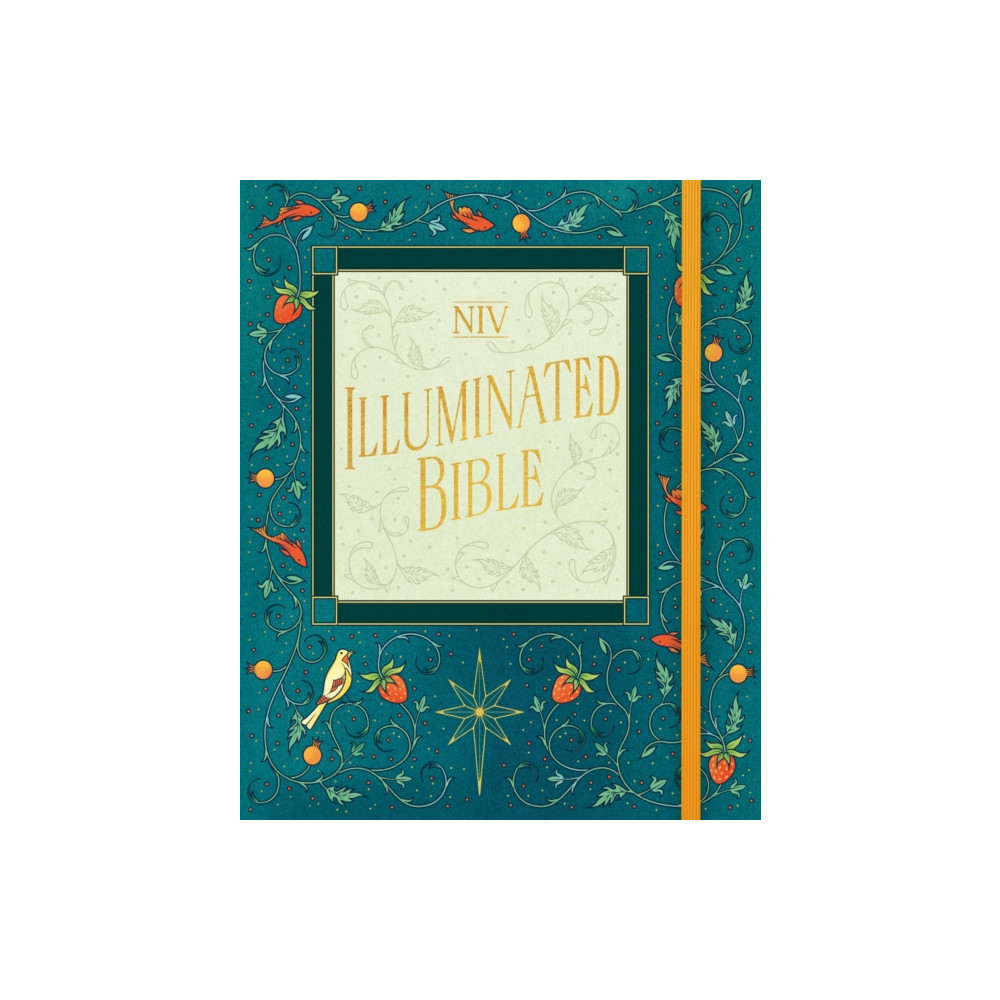 Produktbild för NIV Illuminated Bible (inbunden, eng)
