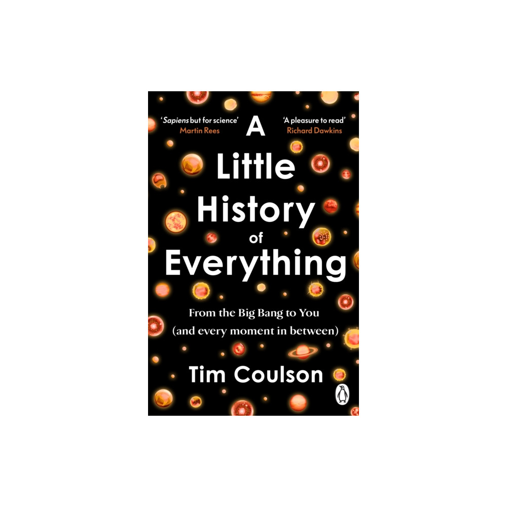 Produktbild för A Little History of Everything (häftad, eng)