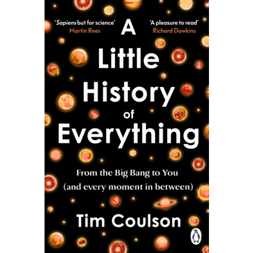 Penguin books ltd A Little History of Everything (häftad, eng)