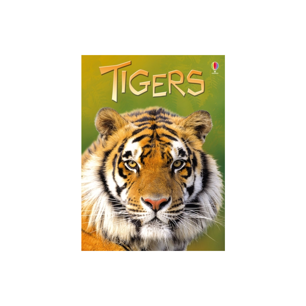 Produktbild för Tigers (inbunden, eng)