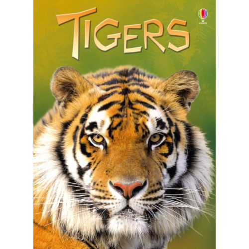 Usborne Publishing Ltd Tigers (inbunden, eng)