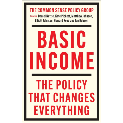 Bristol University Press Basic Income (häftad, eng)