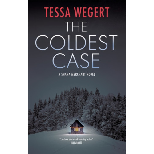 Joffe Books The Coldest Case (häftad, eng)