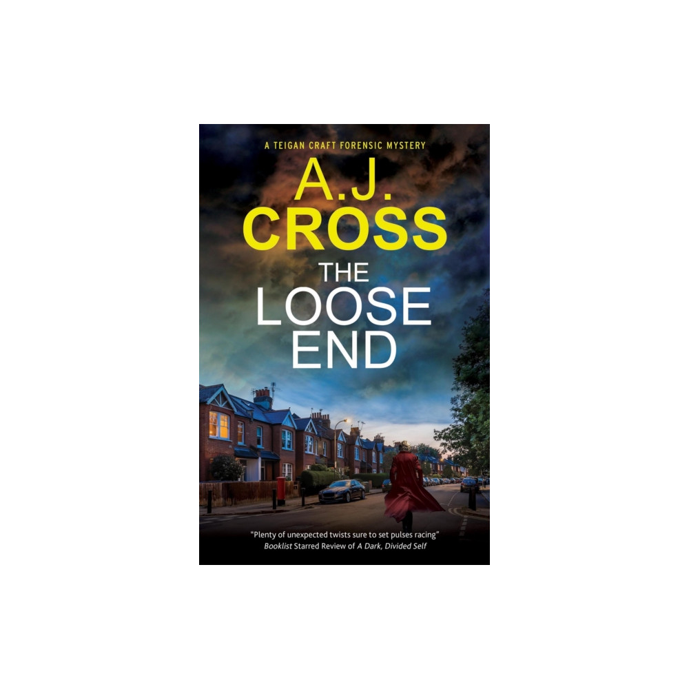 Produktbild för The Loose End (häftad, eng)