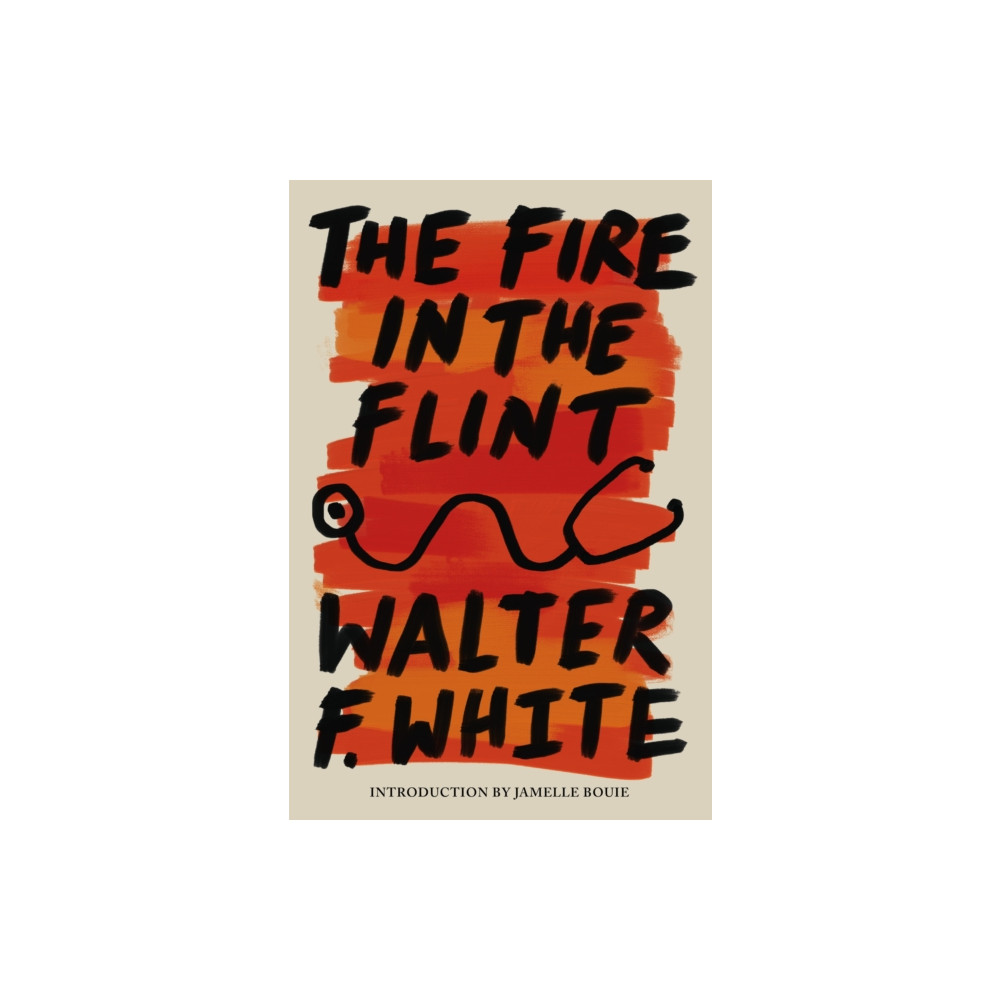 Produktbild för The Fire in the Flint (häftad, eng)