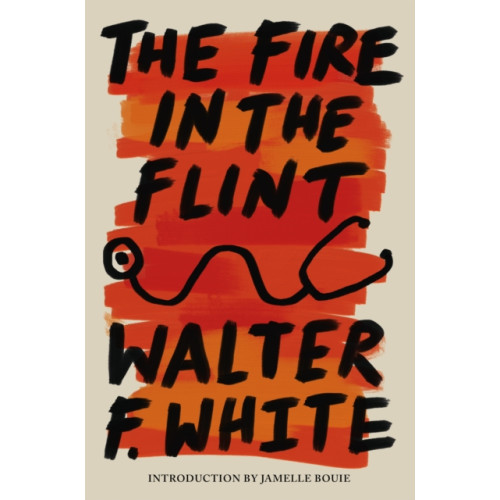 Union Square & Co. The Fire in the Flint (häftad, eng)