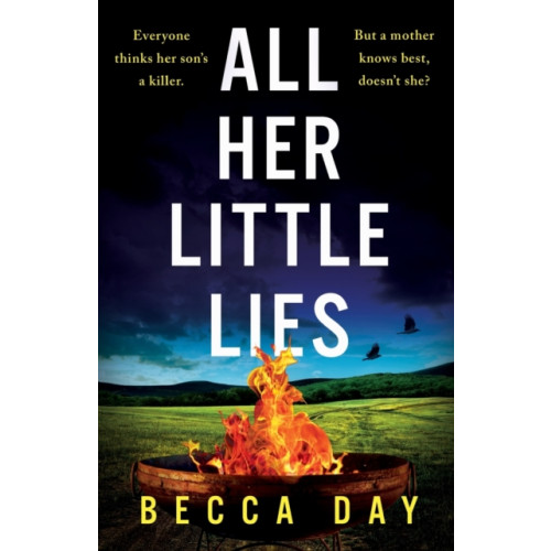 Bonnier Books Ltd All Her Little Lies (häftad, eng)