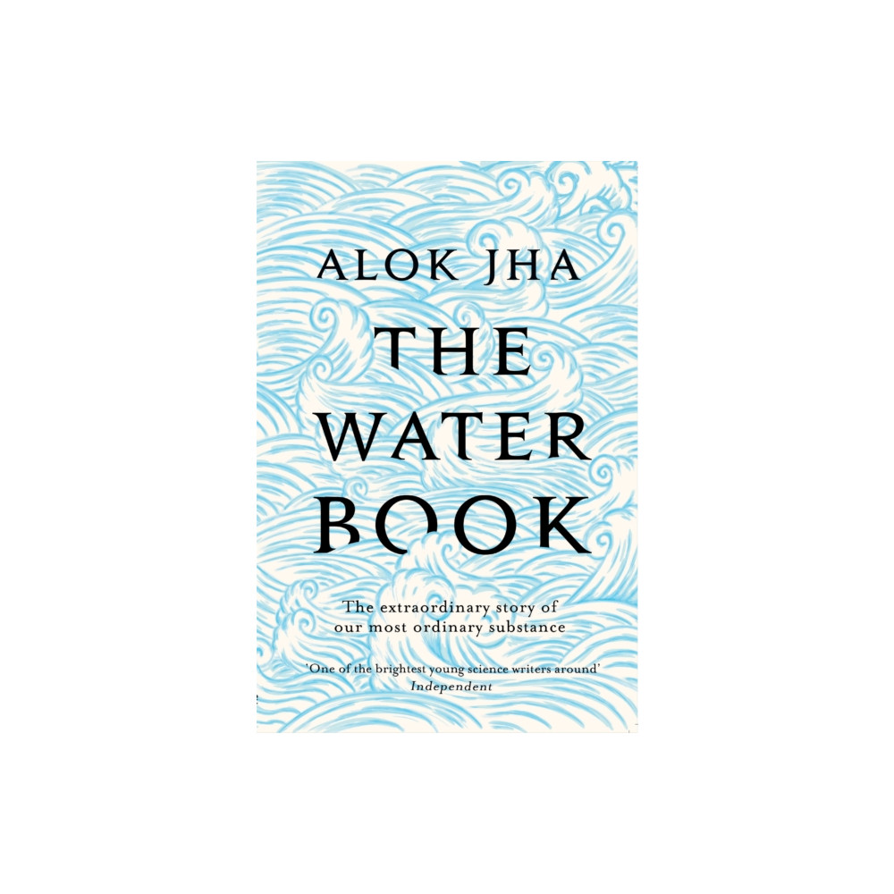 Produktbild för The Water Book (häftad, eng)