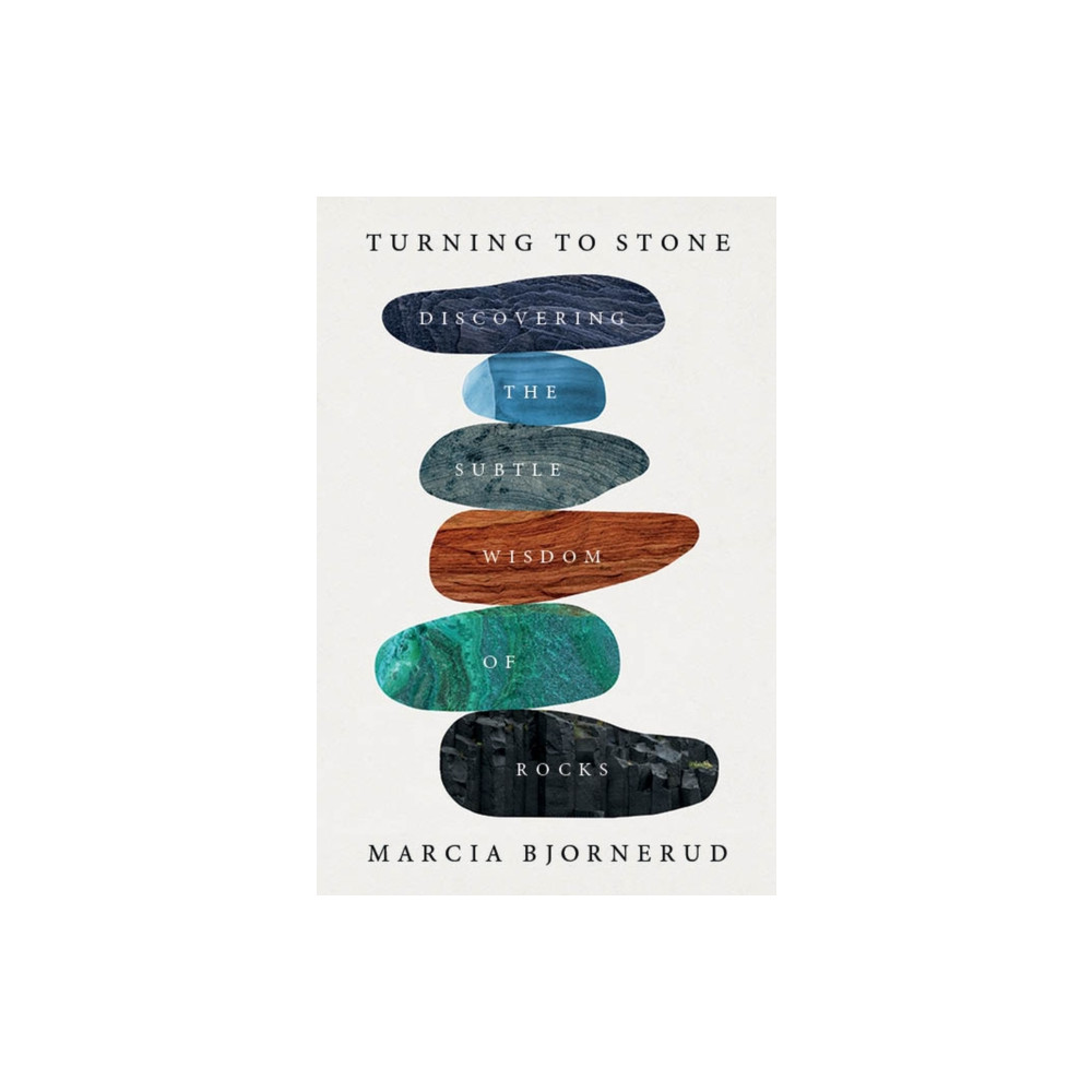 Produktbild för Turning to Stone (häftad, eng)