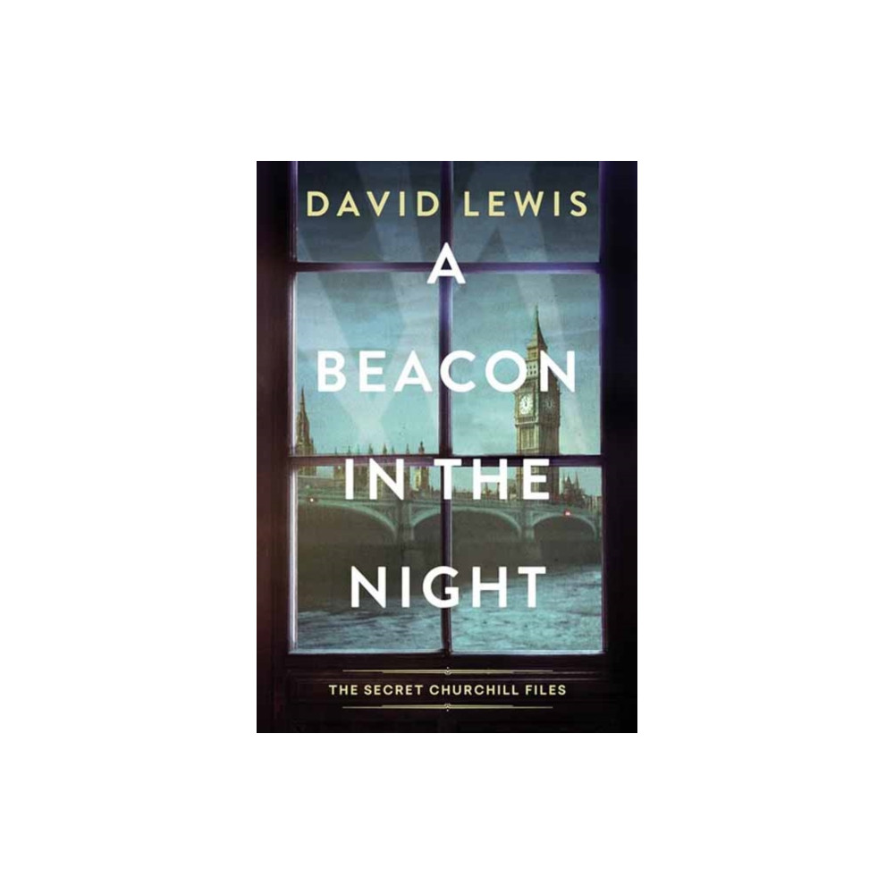 Produktbild för A Beacon in the Night (inbunden, eng)