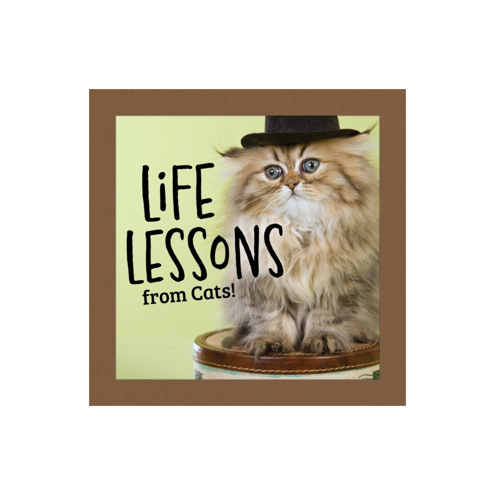 Produktbild för Life Lessons from Cats (inbunden, eng)