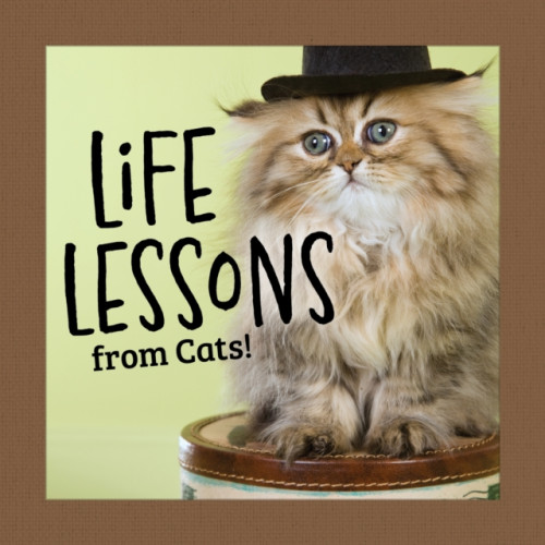 Fox Chapel Publishing Life Lessons from Cats (inbunden, eng)