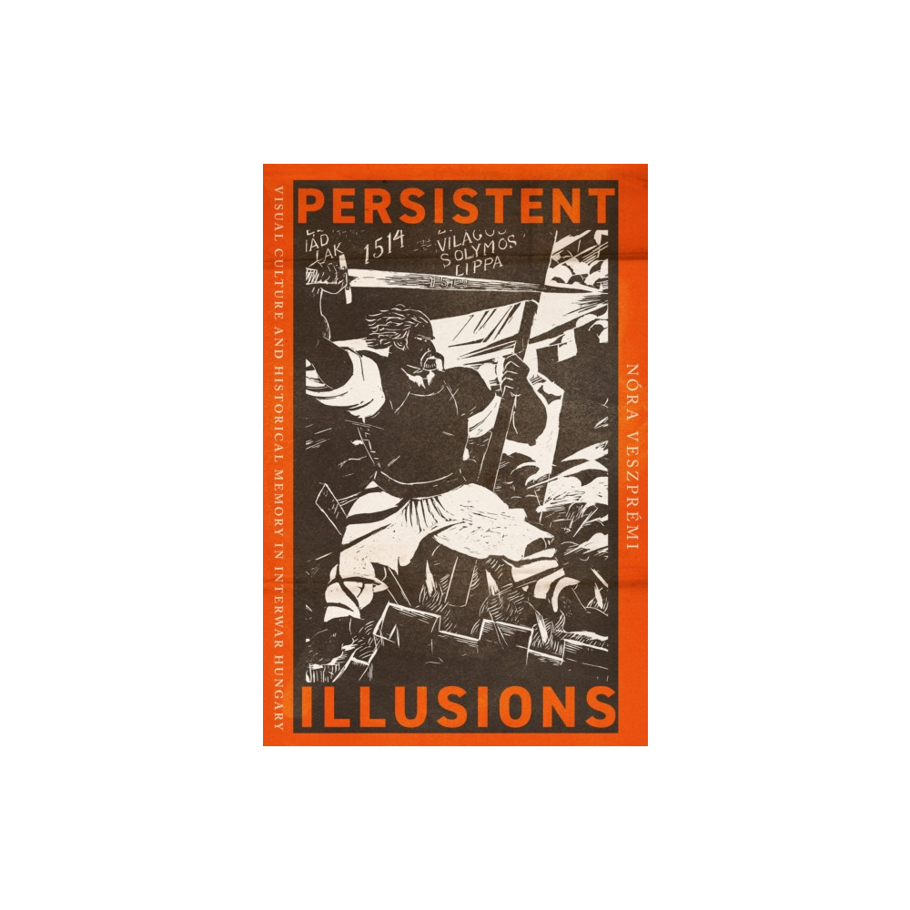Produktbild för Persistent Illusions (häftad, eng)