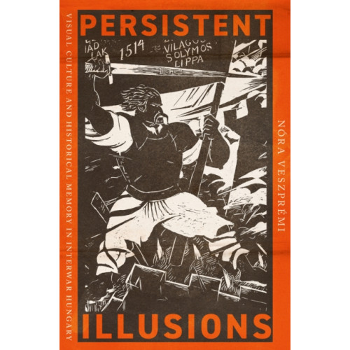 Cornell University Press Persistent Illusions (häftad, eng)